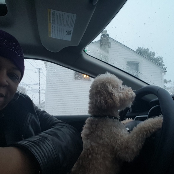 Meet your Posher, Sincere - Picture 1 of 2